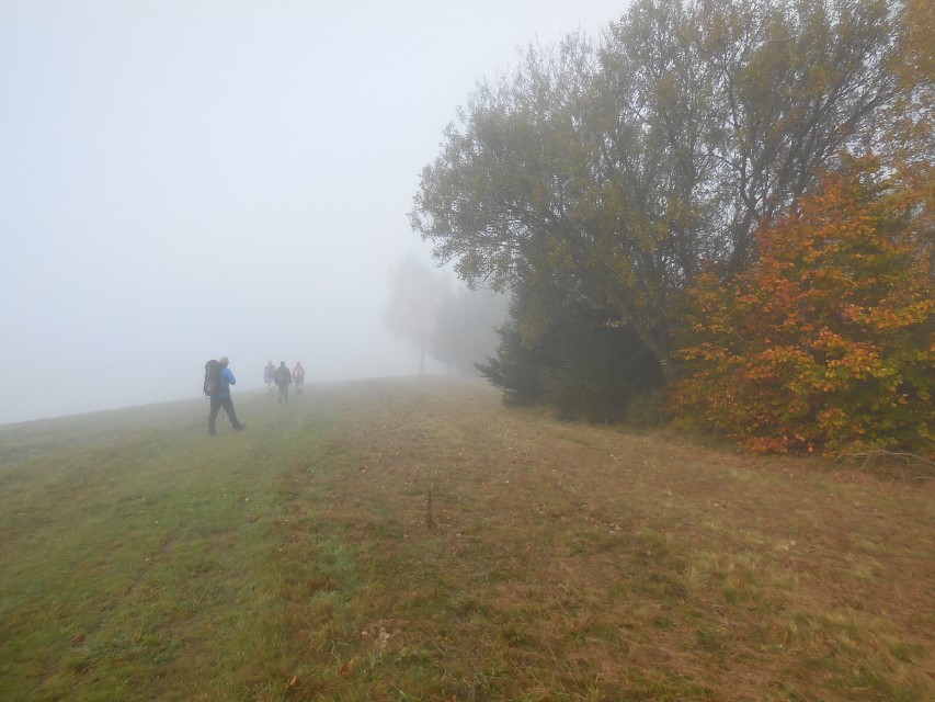 img00067.jpg