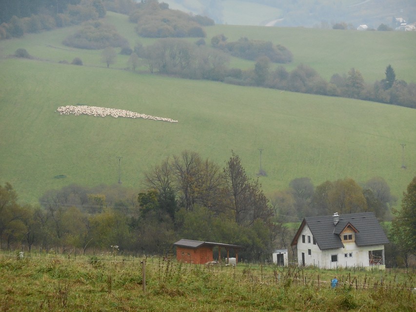 img00082.jpg
