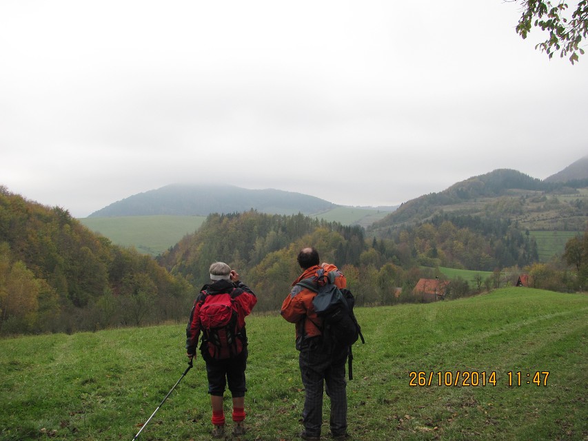 img00083.jpg