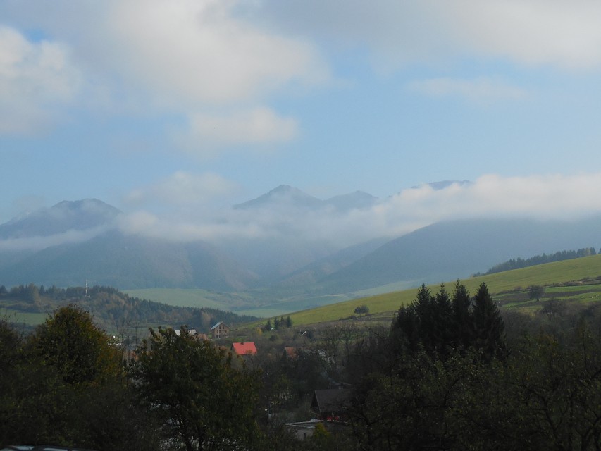 img00088.jpg