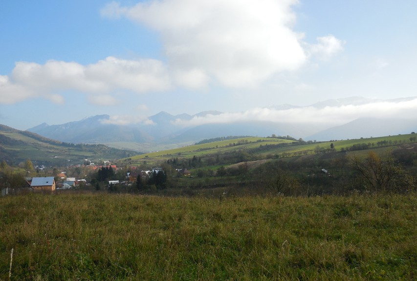 img00091.jpg