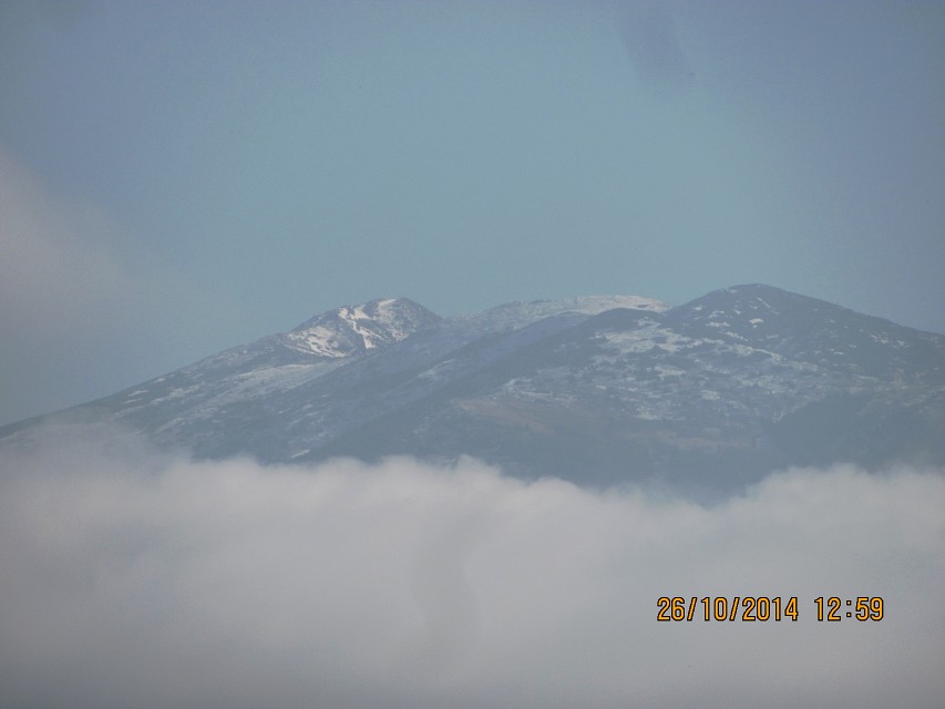 img00092.jpg