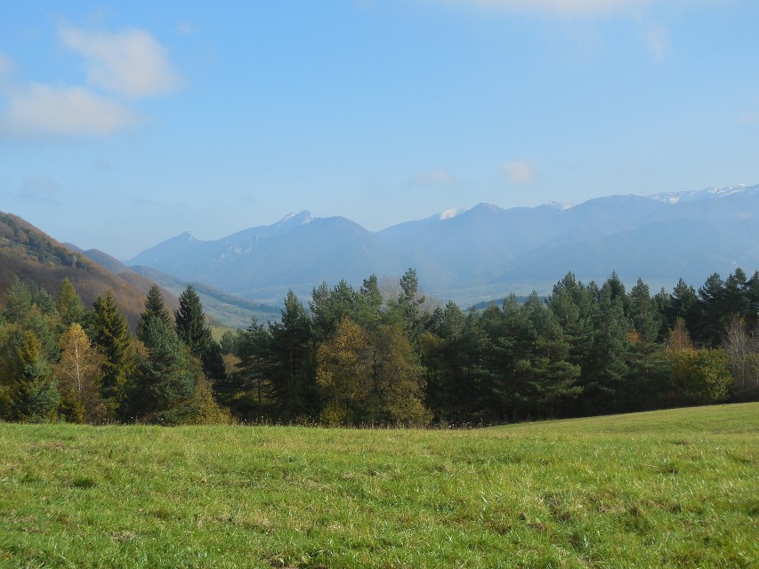 img00096.jpg