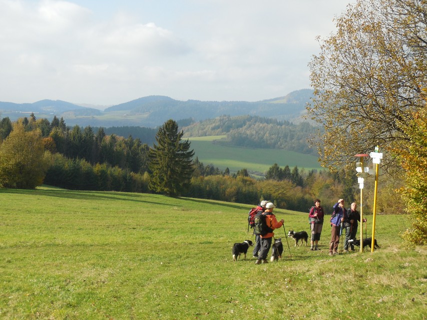 img00097.jpg