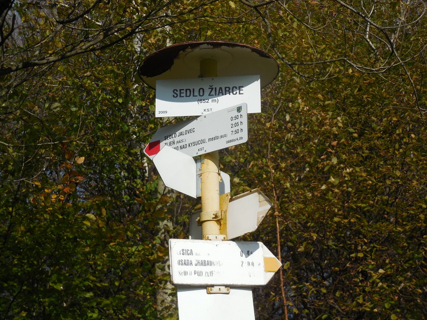 img00098.jpg