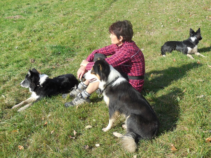 img00100.jpg