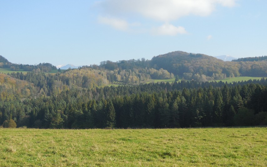 img00102.jpg