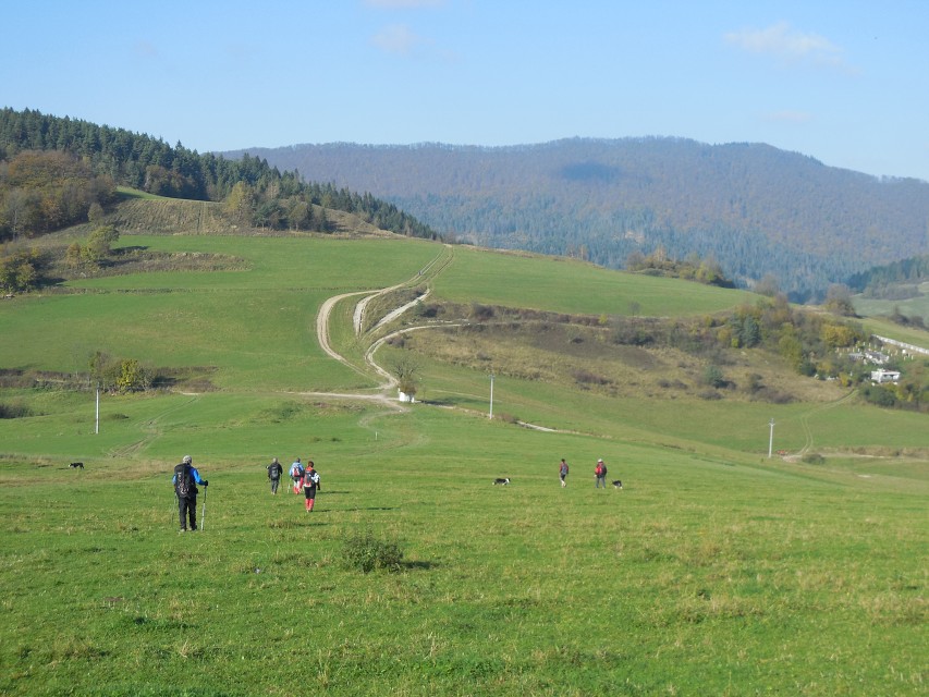 img00104.jpg