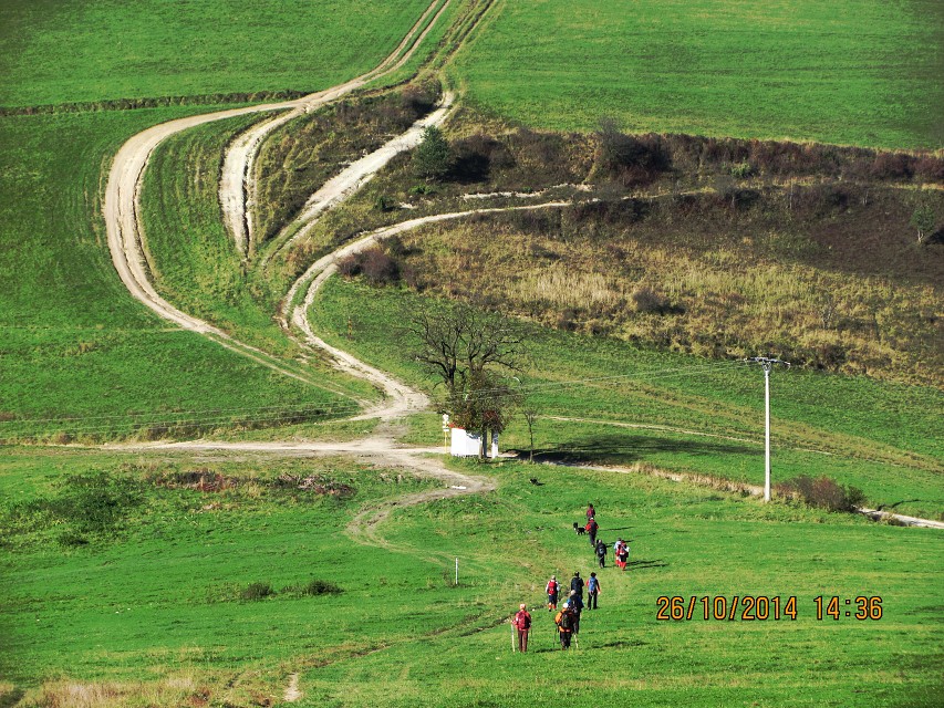 img00105.jpg