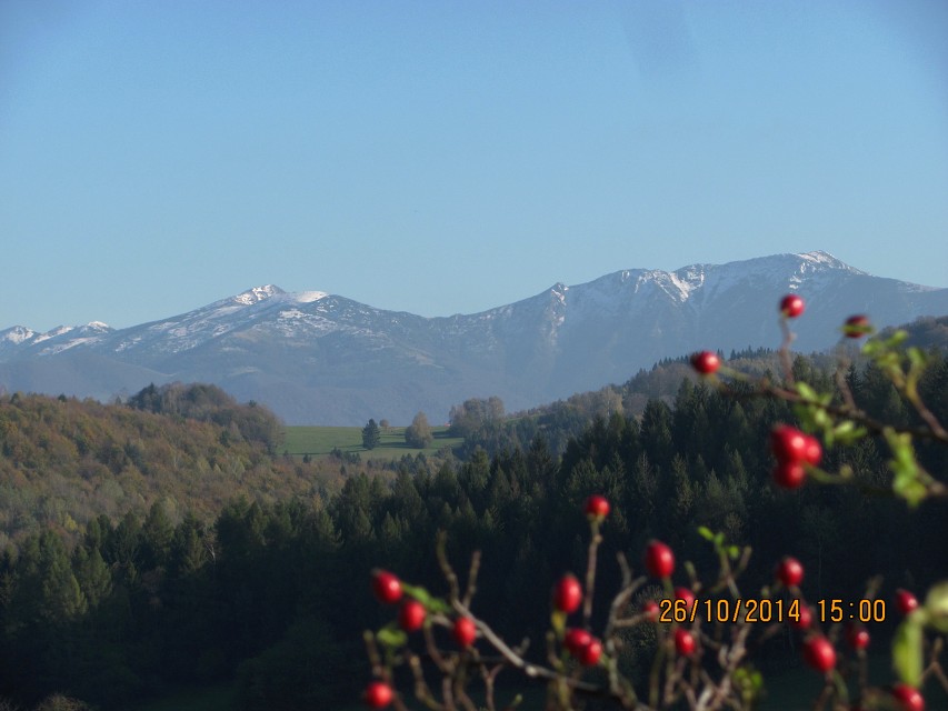 img00111.jpg