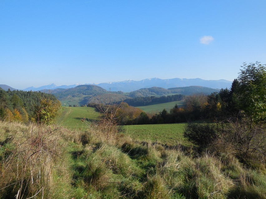 img00112.jpg