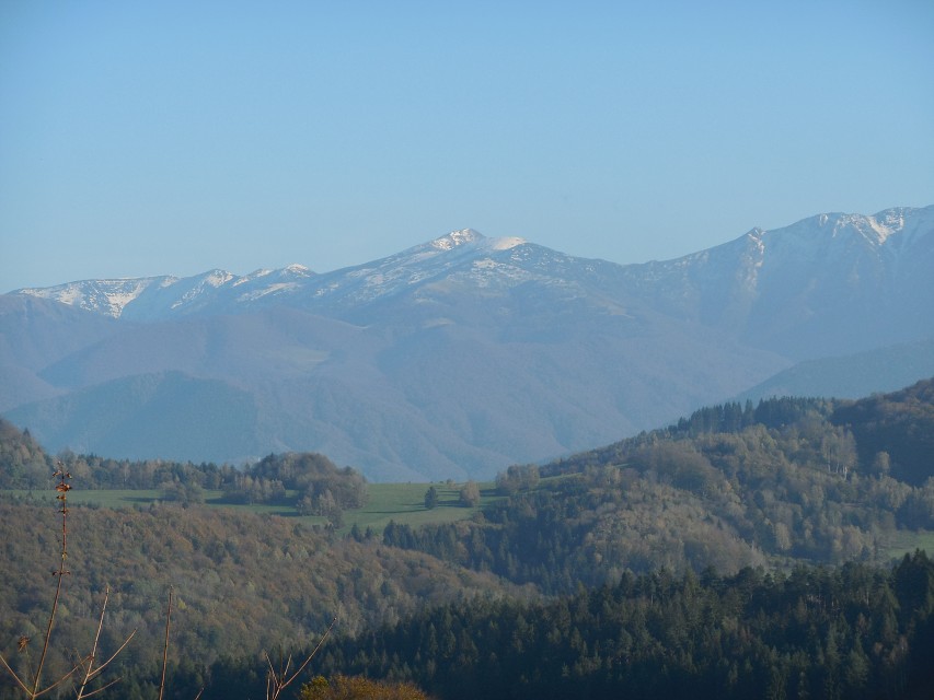 img00113.jpg