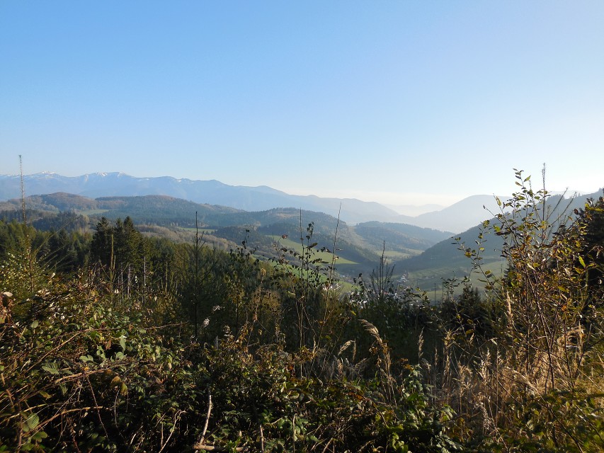 img00115.jpg