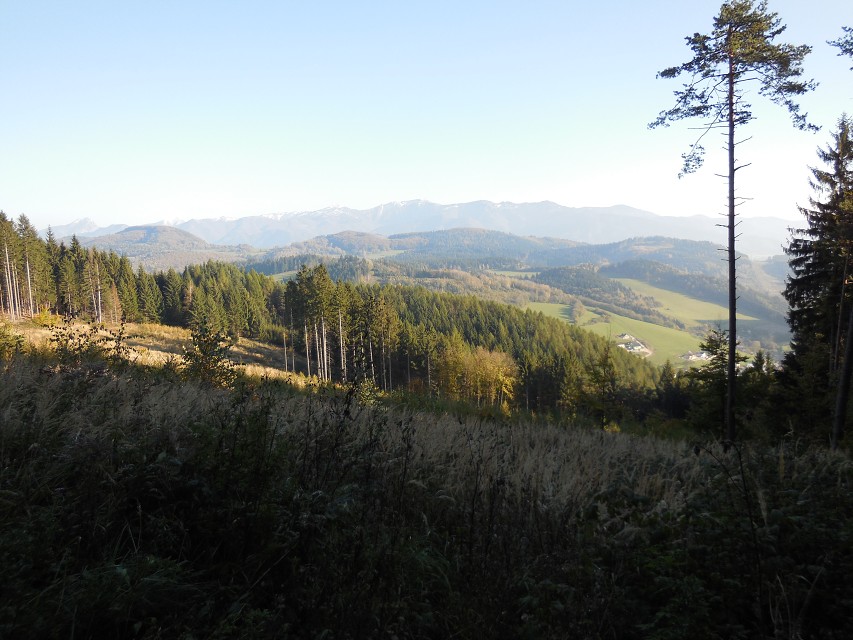 img00116.jpg