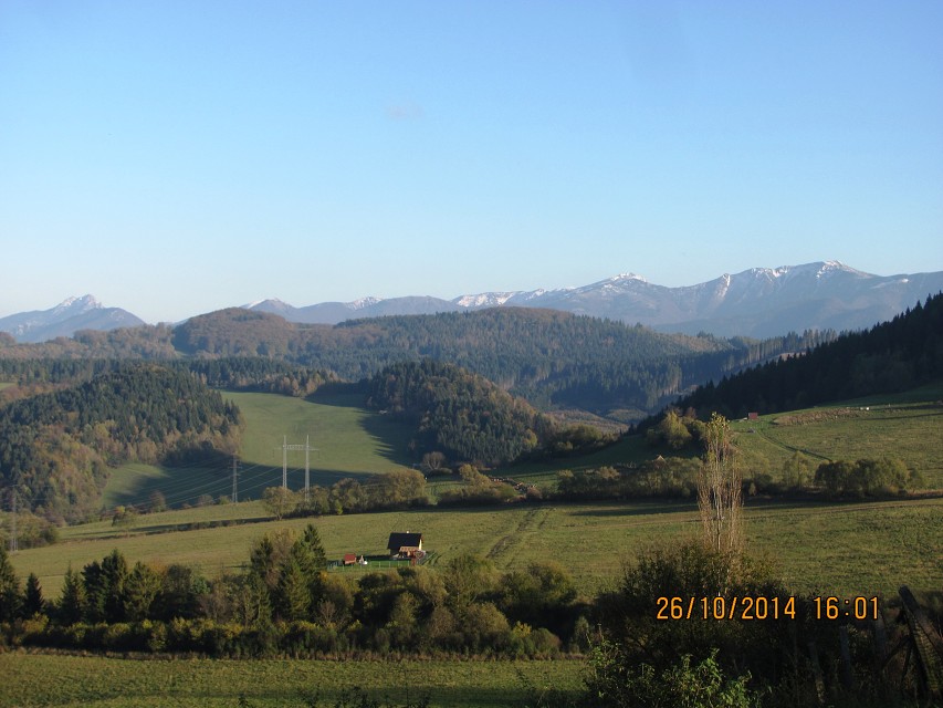 img00117.jpg