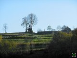 thn00051.jpg