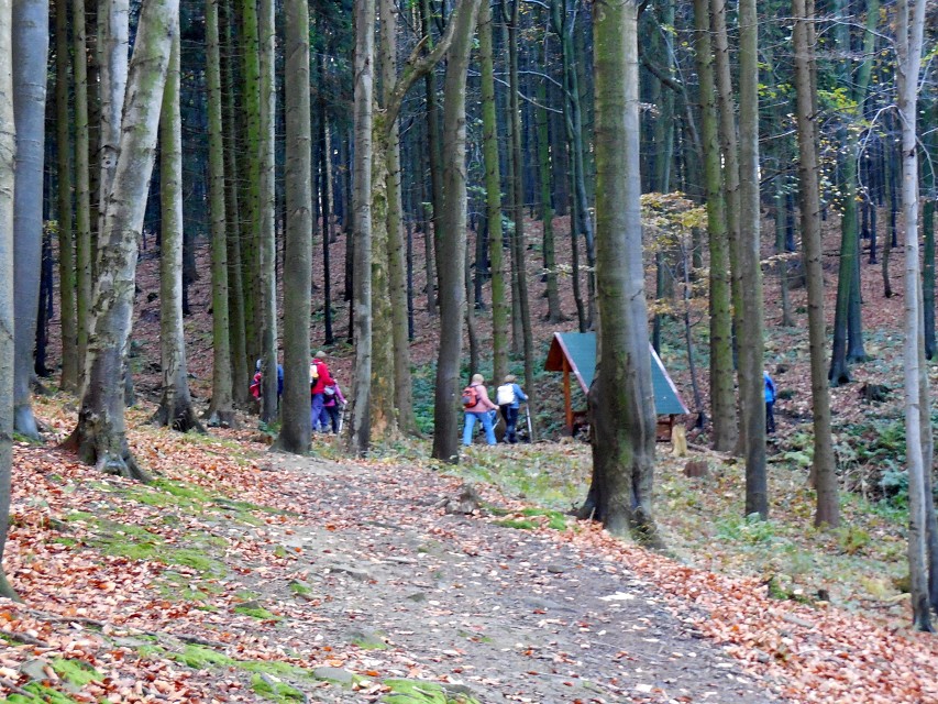 img00006.jpg