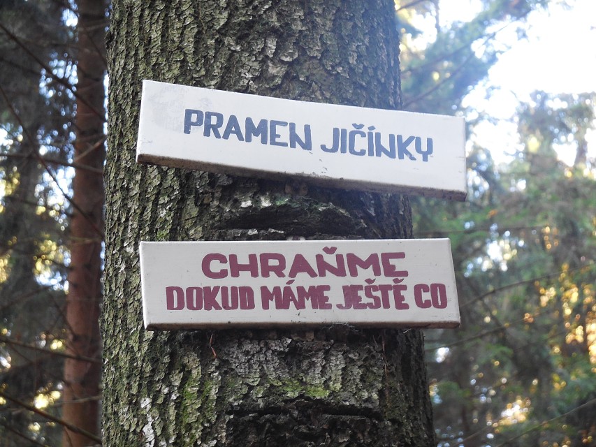 img00007.jpg