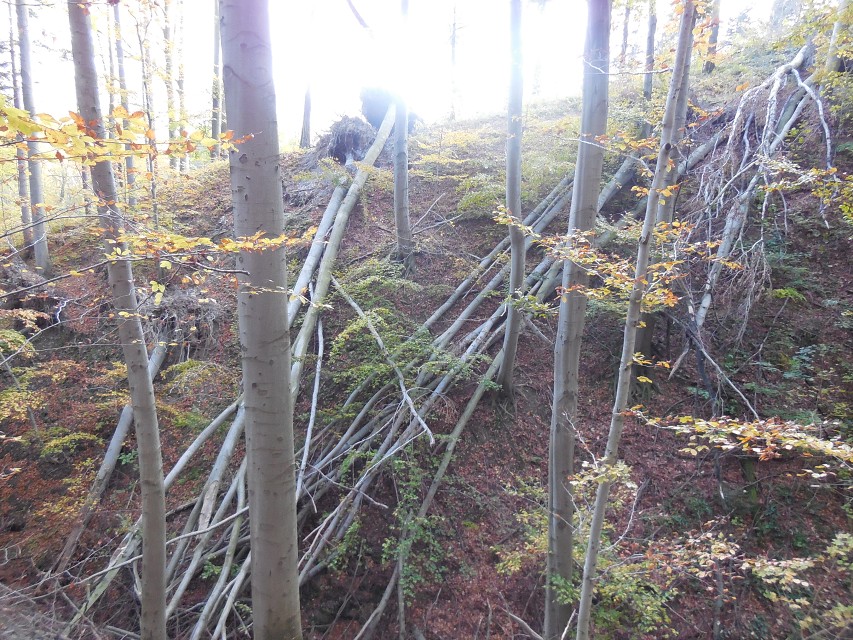 img00034.jpg