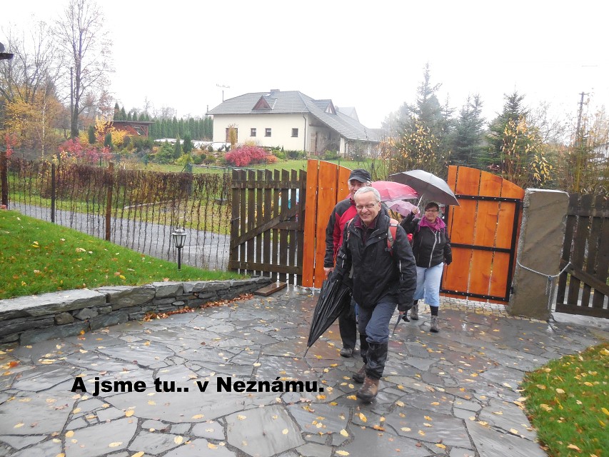 img00011.jpg