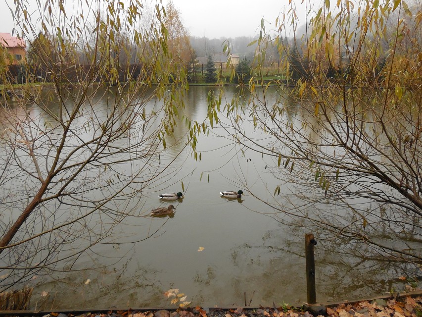 img00013.jpg