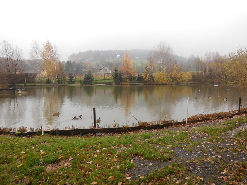 img00015.jpg