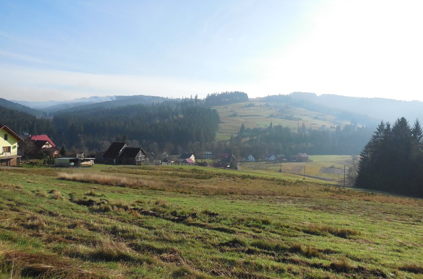 img00012.jpg