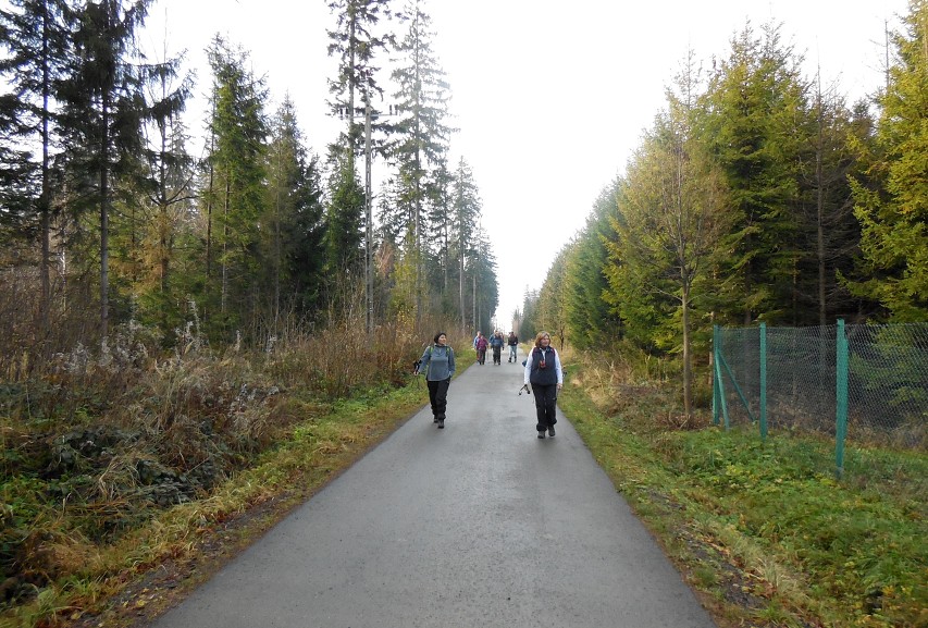 img00017.jpg