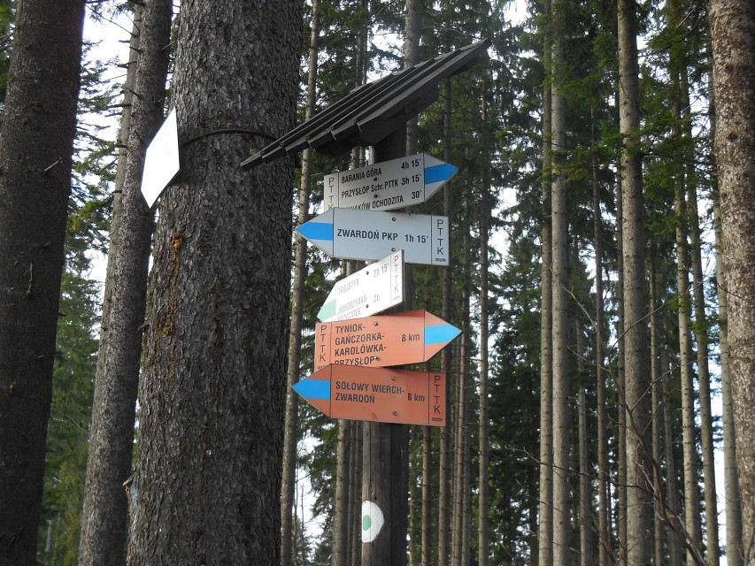 img00018.jpg
