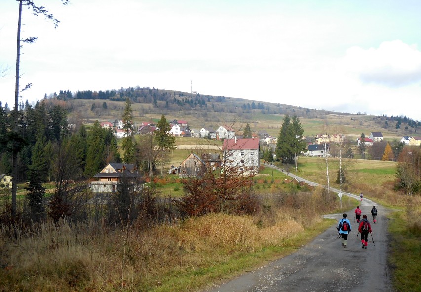 img00019.jpg