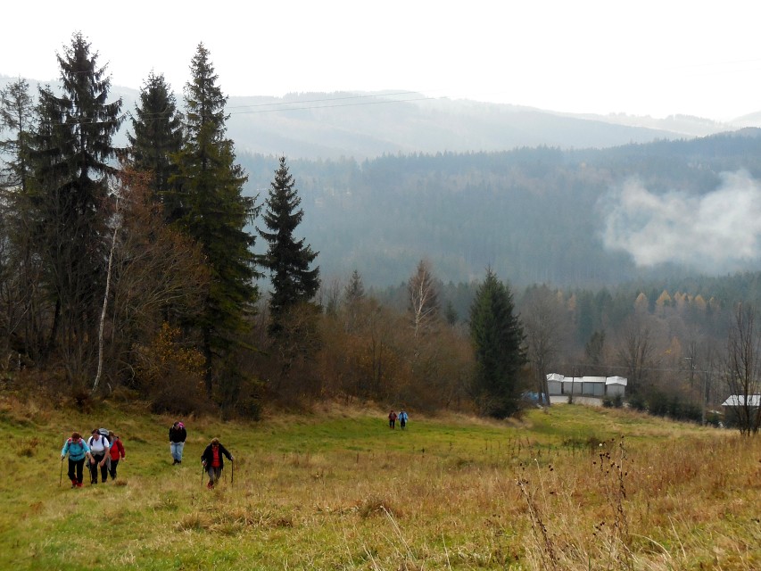 img00020.jpg
