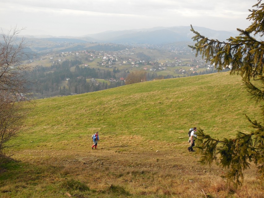 img00021.jpg