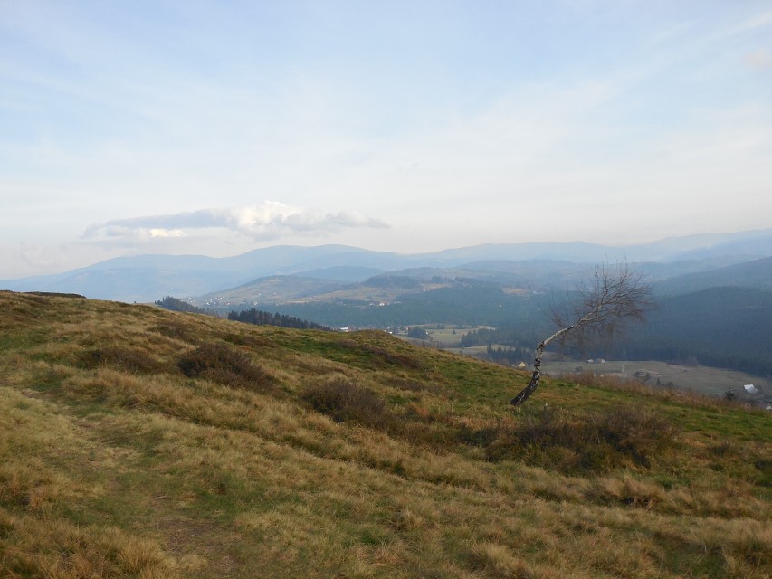 img00023.jpg