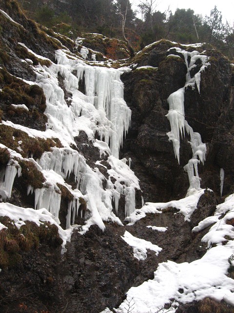 img00002.jpg