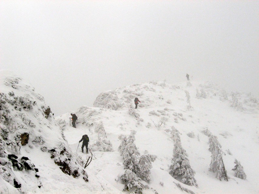 img00009.jpg
