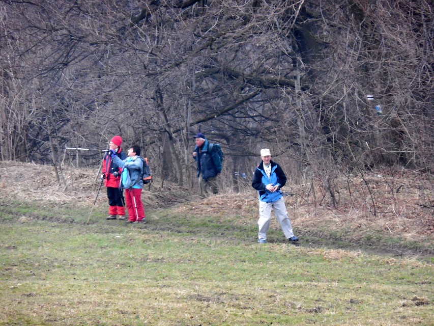img00013.jpg