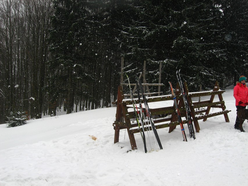 img00019.jpg