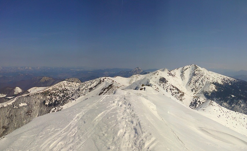 img00010.jpg