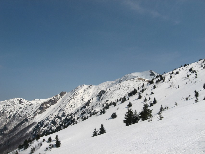 img00014.jpg