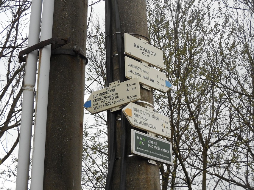 img00007.jpg