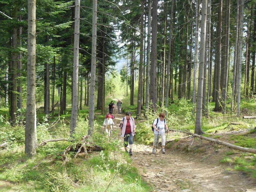 img00007.jpg
