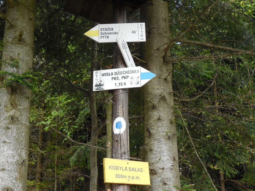 img00016.jpg