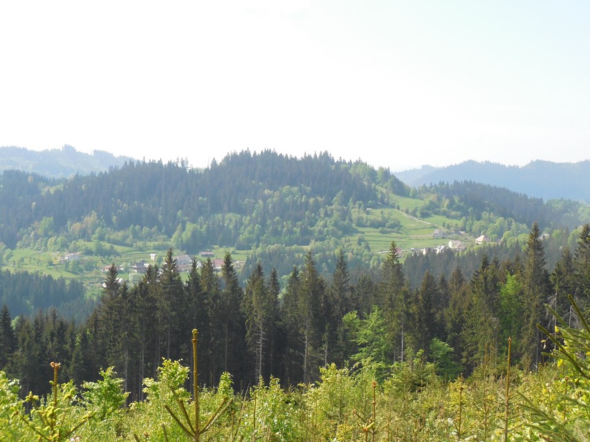 img00023.jpg
