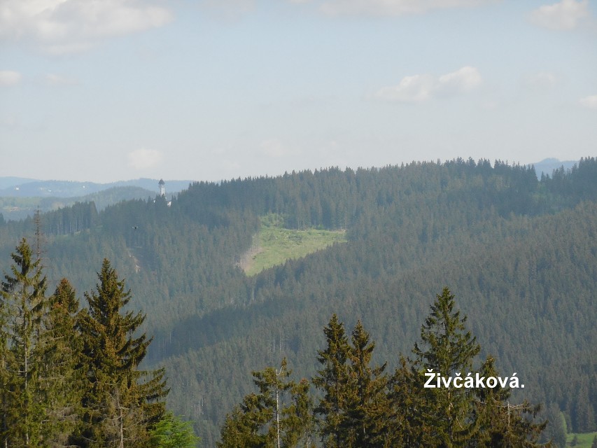 img00026.jpg