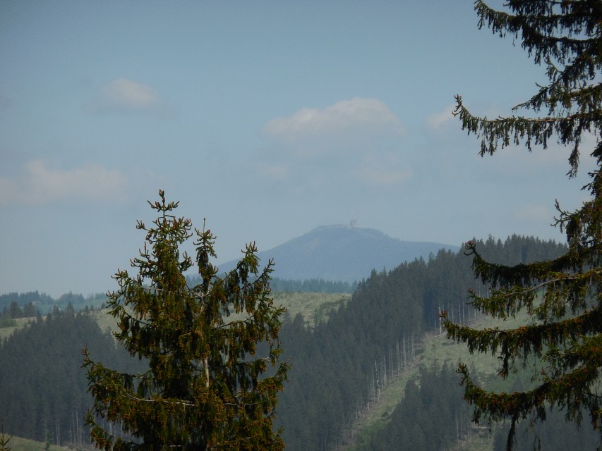 img00027.jpg