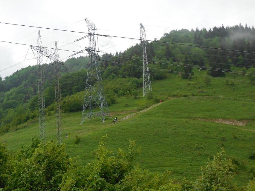 img00012.jpg