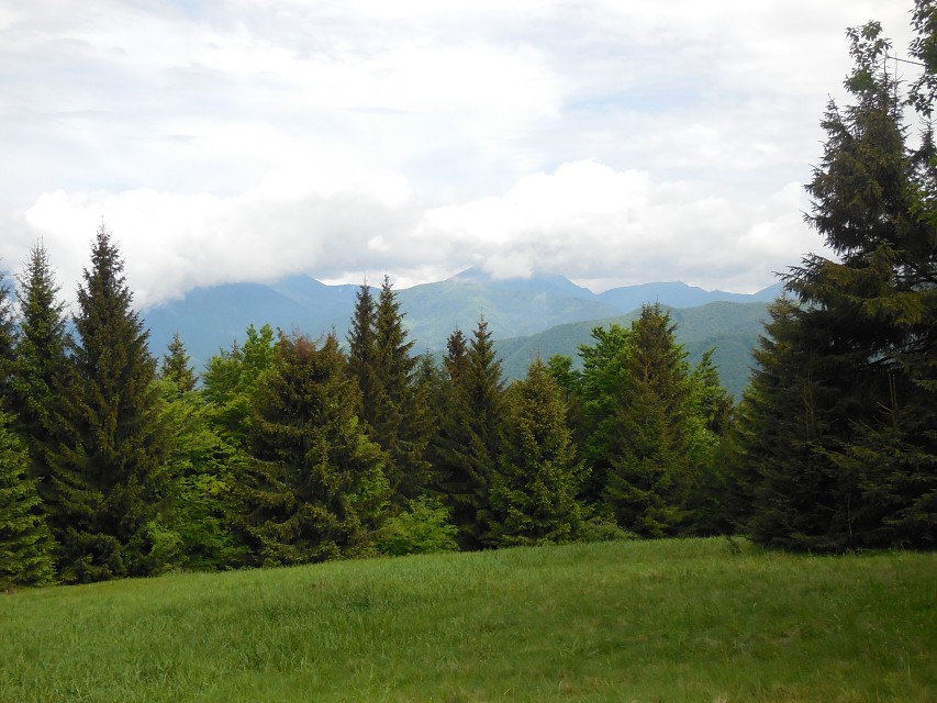 img00017.jpg