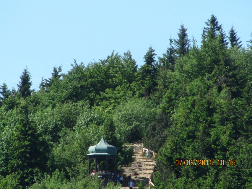 img00017.jpg