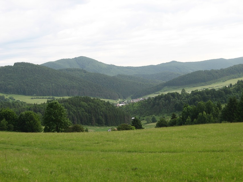 img00009.jpg