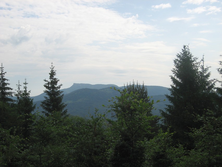 img00011.jpg